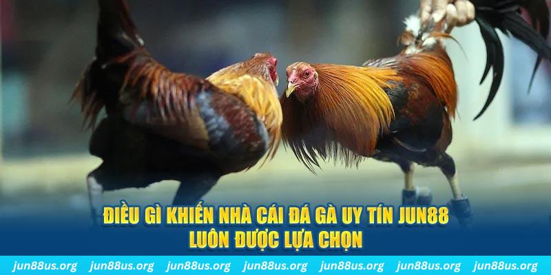 qh99 qq88 nổ hũ bắn cá