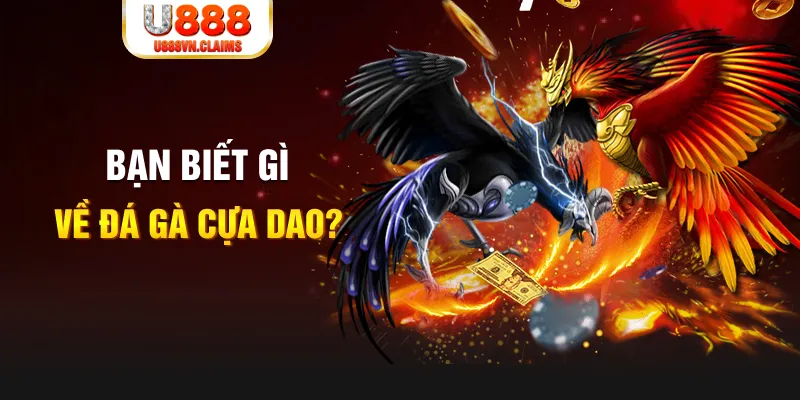 qh99 xổ số kiến thiết