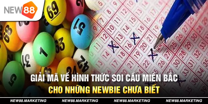 qh99 đăng nhập mậu binh live