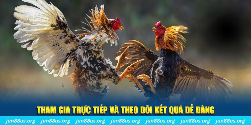 qh99 đá gà trực tiếp bình luận viên