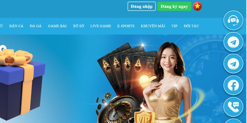 qh99 slot là gì dịch