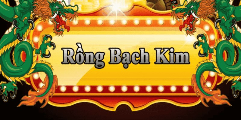 qh99 đăng nhập roulette 2025
