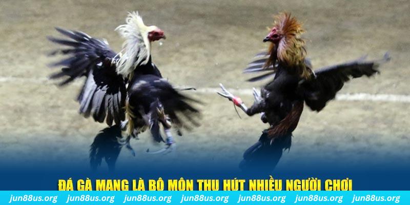 qh99 xổ số cà mau