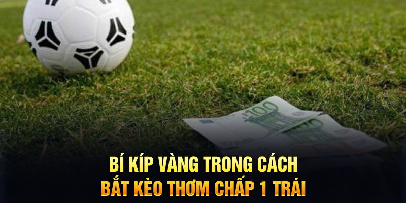 qh99 đăng nhập mậu binh mới nhất