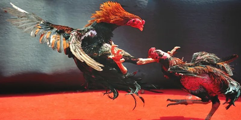 qh99 BG Bắn cá