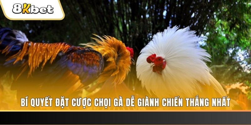 qh99 Tài Xỉu 2