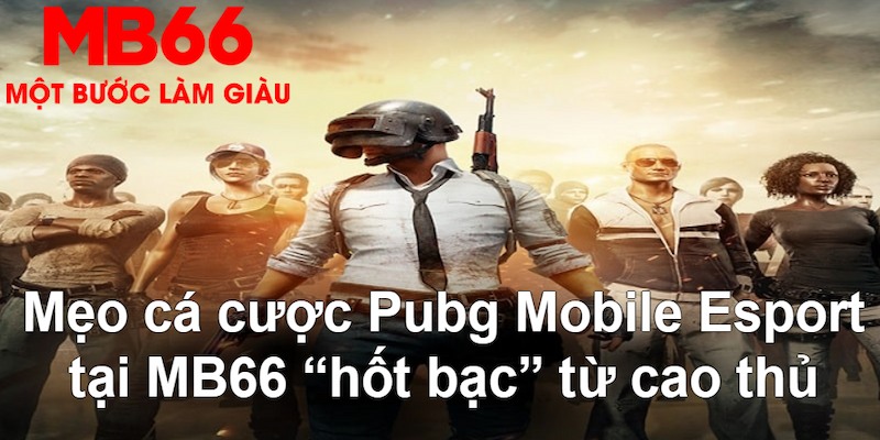 qh99 gà chọi mộc hóa