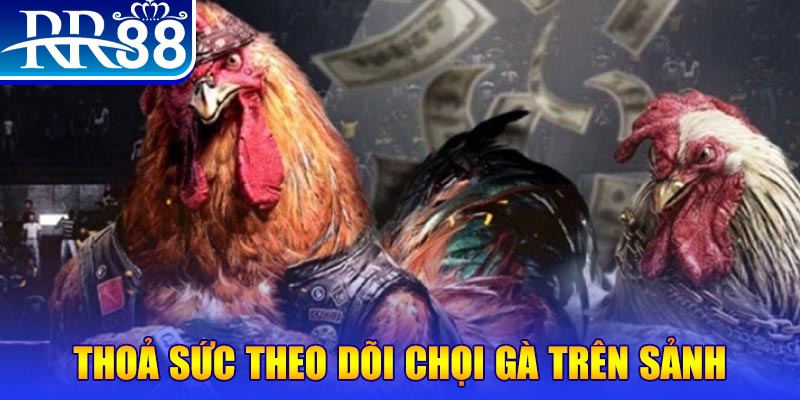 qh99 đá gà 88.com
