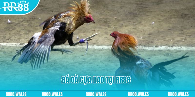 qh99 đăng nhập nổ hũ dễ thắng
